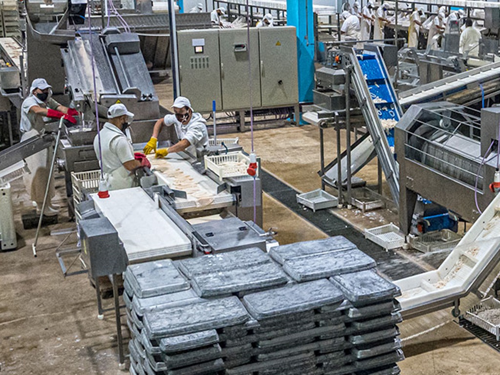 Producción pesquera