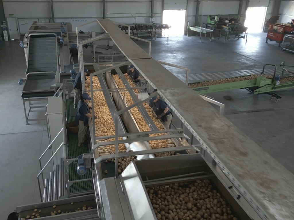 Industria de alimentos