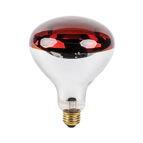 Lámpara Infraroja 250W