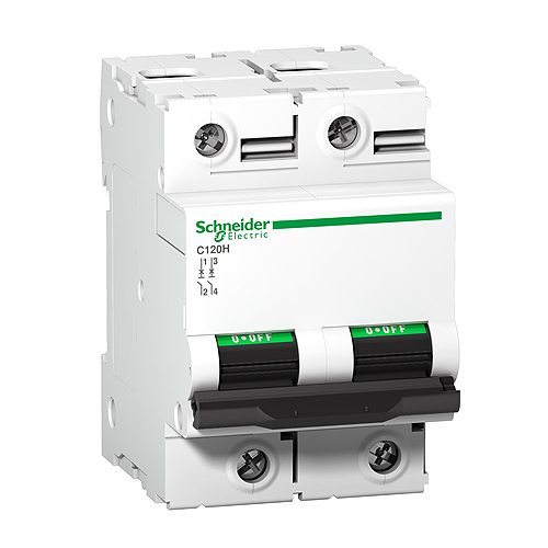 INT.TERM. C120N 2X125A CURVA C A9N18363