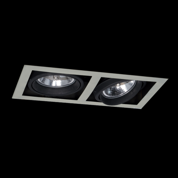 EMBUTIDO CARDANICO  2X50W AR111 BLANCO