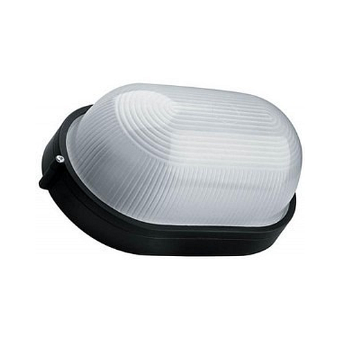 TORTUGA OVAL LISA  VERDE 8118