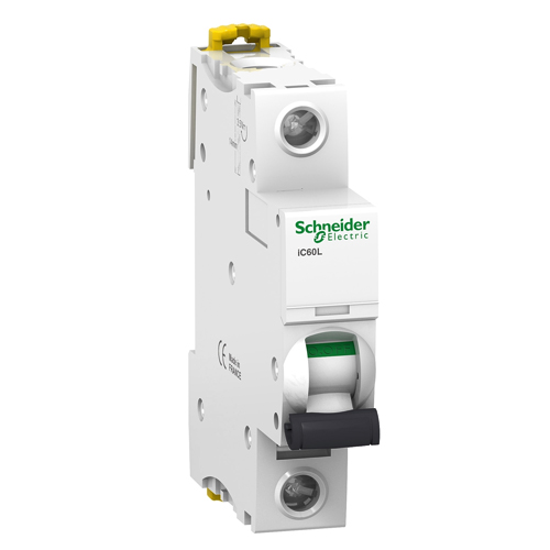 INT. TERMOMAG. IC60L 1X20 CURVA C