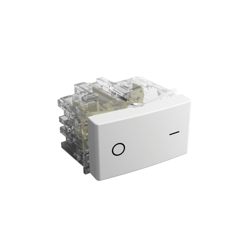 INTERRUPT.BIP.10AX-250V.  Bco.  46131